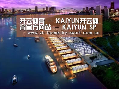 案例展示八