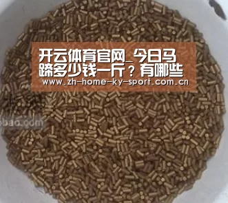 开云体育官网_今日马蹄多少钱一斤？有哪些功效作用及食用禁忌？