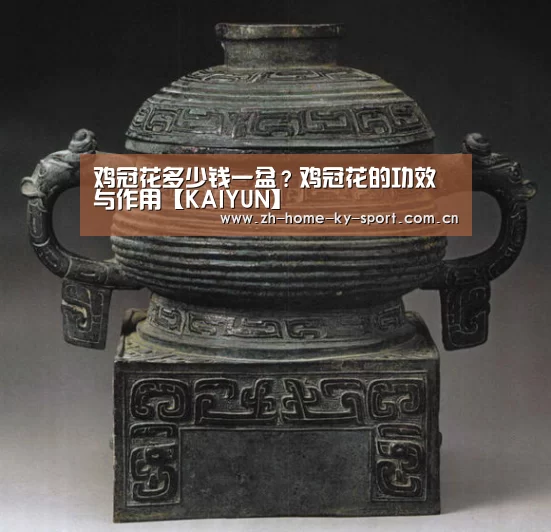 开云体育官网