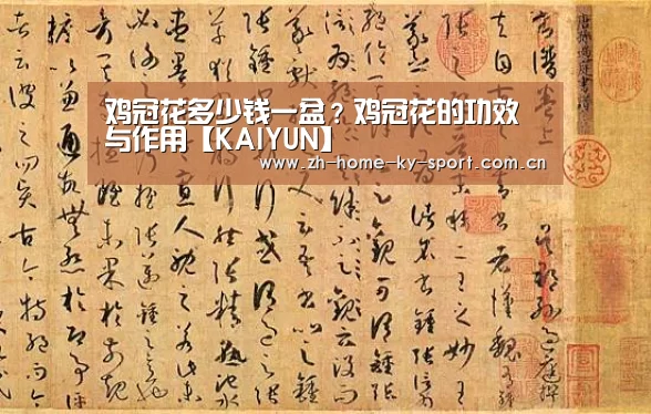 开云体育官网