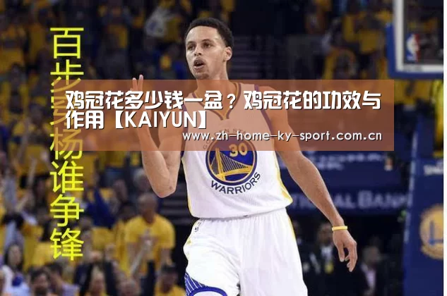 开云体育官网