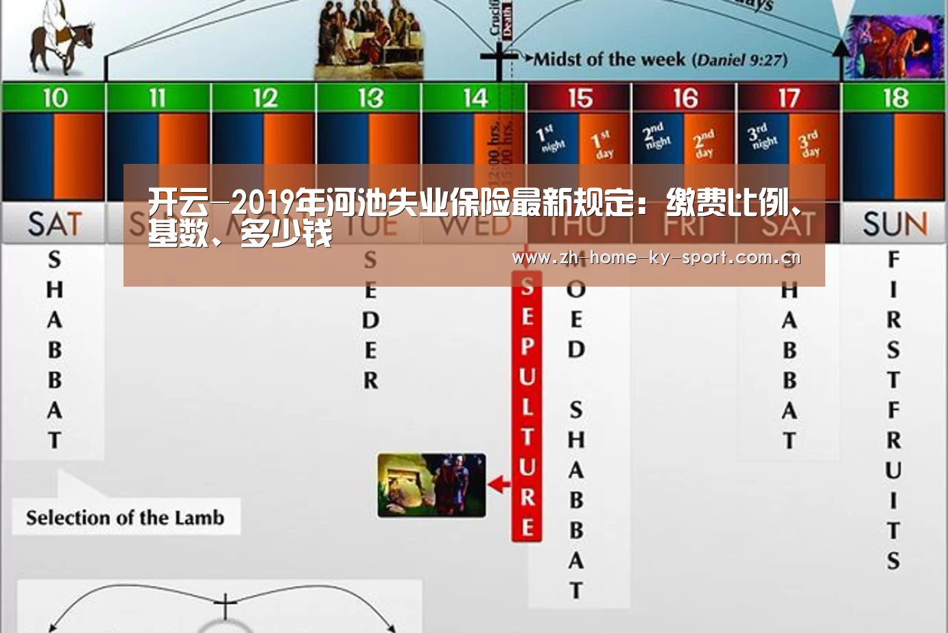 开云体育官网